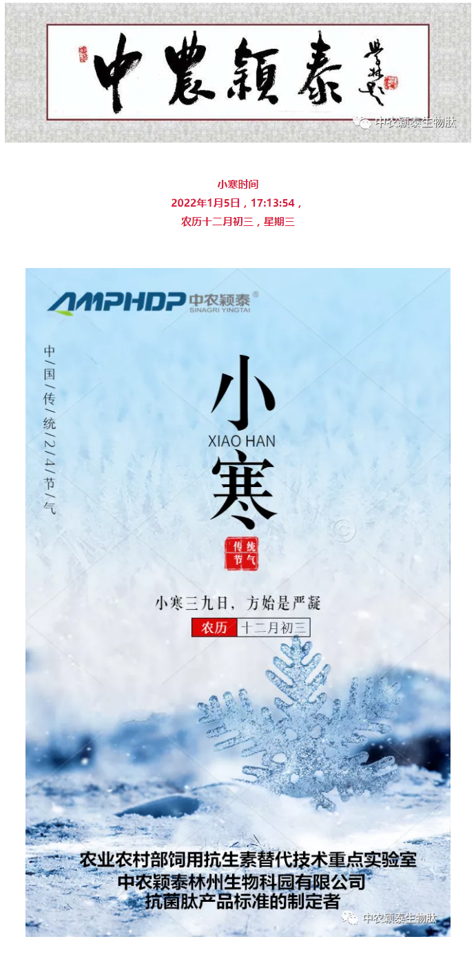 2022年（第2期）：小寒今日至，年味已冒頭_01