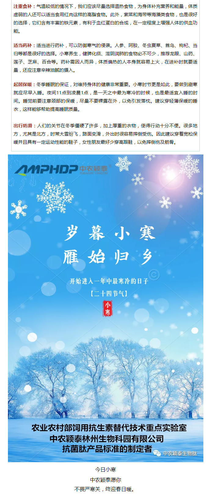 2022年（第2期）：小寒今日至，年味已冒頭_04