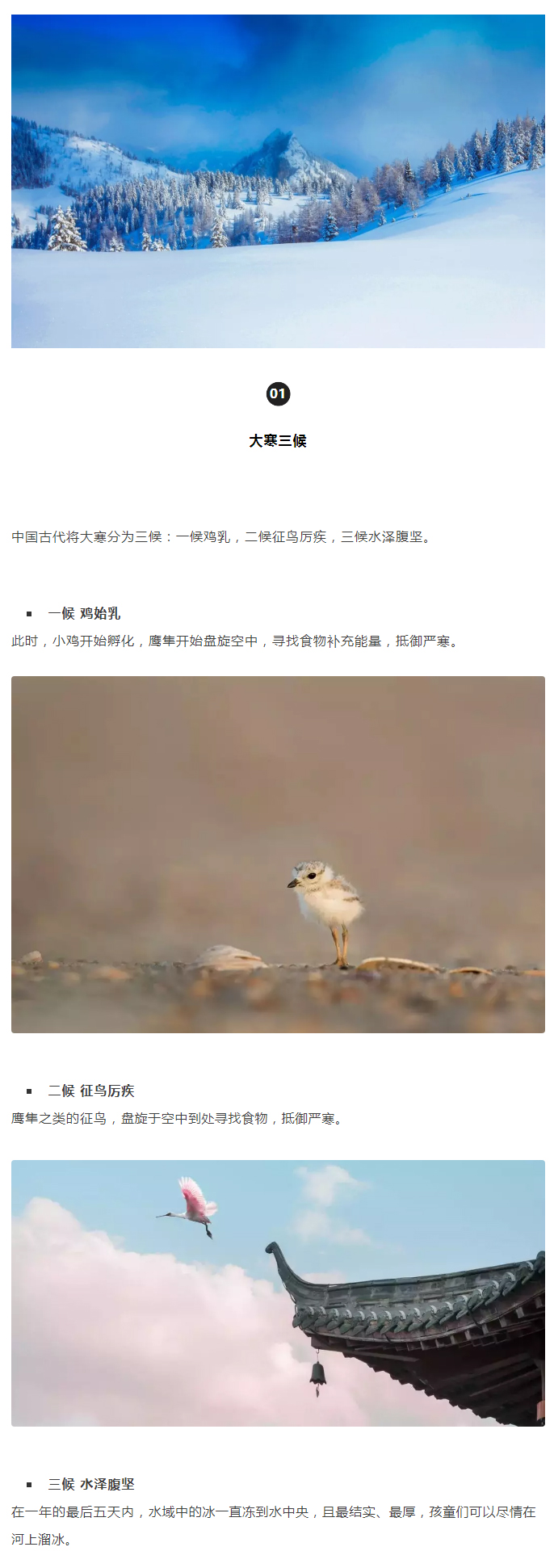 2022年（第5期）：大寒：愿您安暖幸福，歲歲平安_02