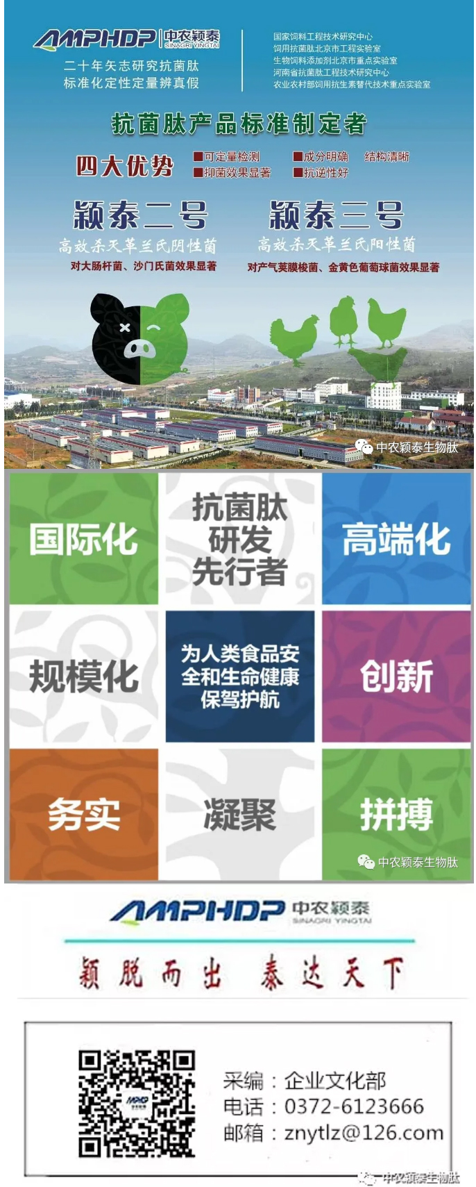 2022年（第5期）：大寒：愿您安暖幸福，歲歲平安_08