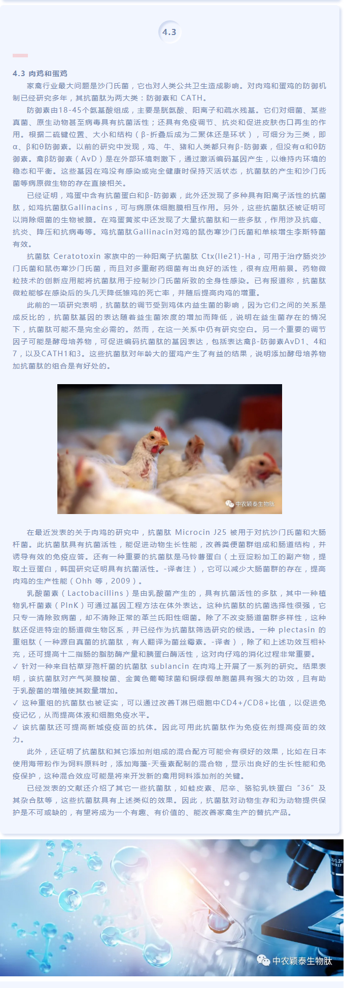 抗菌肽作為替抗飼料添加劑對動物生產(chǎn)、食品安全和公共衛(wèi)生影響的綜述（下）_03
