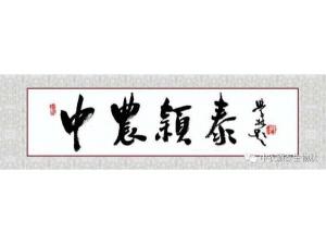 2021年：工作動態(tài)，中農(nóng)穎泰工會順利換屆