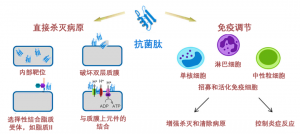 泰倍健——新型免疫增強(qiáng)劑，構(gòu)建核心抗病力